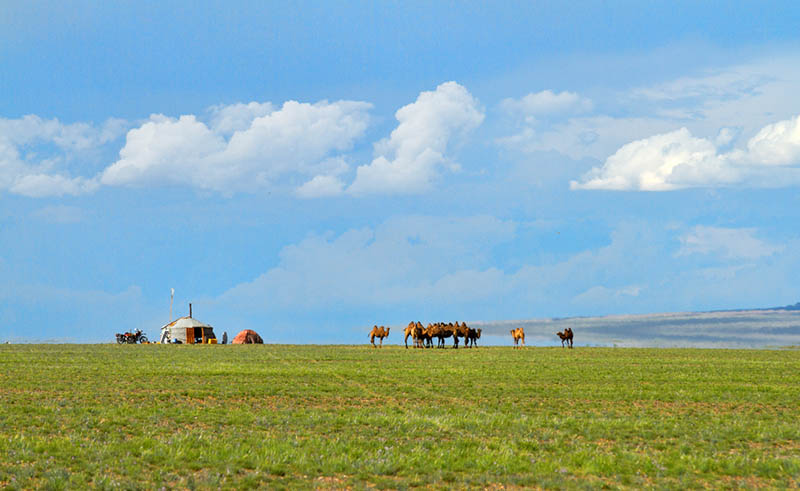 mongolia gobi desert 